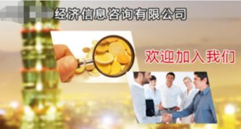 經(jīng)濟(jì)信息咨詢服務(wù)的內(nèi)容與范圍